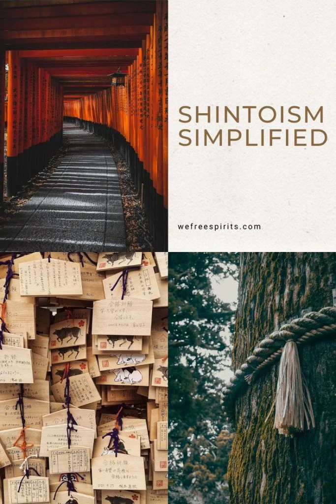 اخبار و مقالات 11 2024 11 10 03.26.18