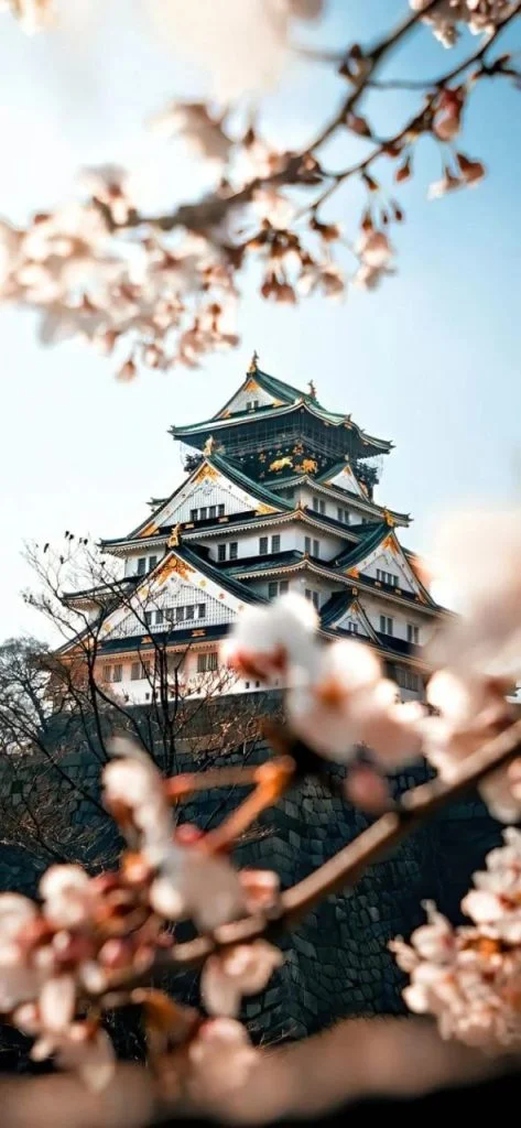 2024 07 22 22 compressed 6