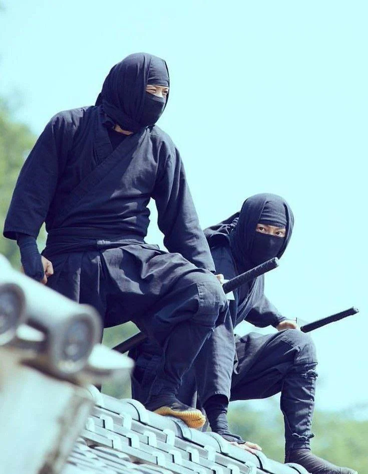 photo 2025 09 12 12 53 27 compressed